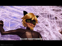 言泽-采集到瓢虫雷迪～猫猫