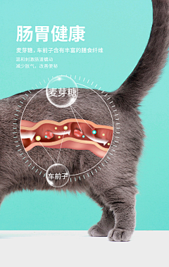 Of6iQ9If采集到猫
