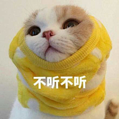三月五马采集到动图