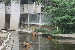 芭堤雅旅游_芭堤雅旅游攻略_芭堤雅旅游景...