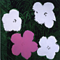Andy Warhol Flowers_1964
