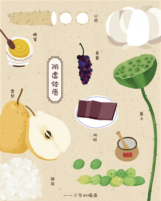 手绘 药材