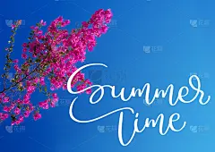 粉红色的九重葛映衬着天空和文字夏天的时间。书法刻字手绘