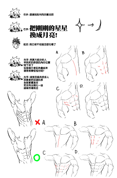 cccYu采集到人体教程