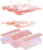 7c7111a3c3f455977bf77a4238ee06f4268fc77954ca5-blwk7f_高清放大