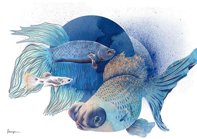Blue Fish : Artistic...