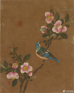 冰魇采集到工笔花鸟