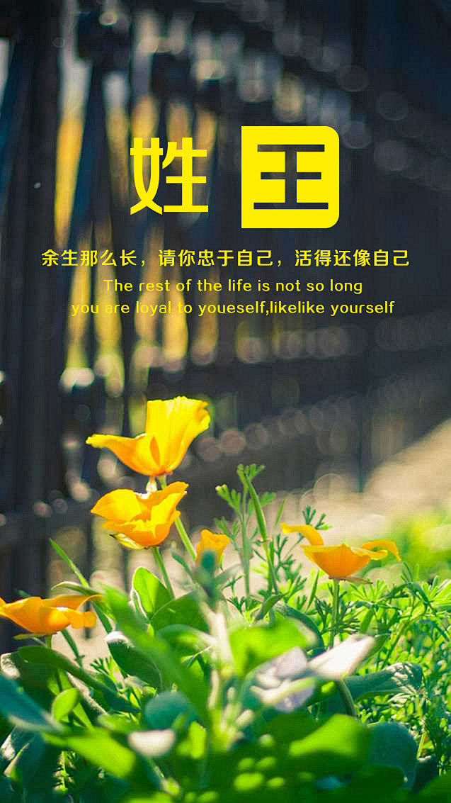 姓名壁纸王