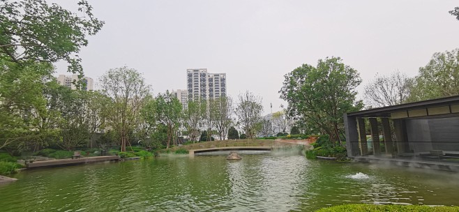 IMG_20240621_110016