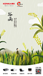 谷雨