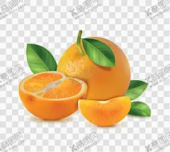 卡通橙子 【酷图网】卡通橙子,卡通橙子素材,橙子,橙子海报素材,广告,水果,瓶贴,可爱,橙子素材,图片,包装,美味,新鲜,插画,插图,免扣,素材,元素,矢量,卡通,手绘,标志,logo,简约,图案,图标,橙子插画,促销,橙汁,橙色,果汁,清新,果肉,切开,桔子,橘子,动感,3D,渐变,立体,高清,绿叶,橘子瓣,精美