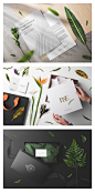 高端绿色植物花卉装饰印刷品平面VI品牌样机PSD设计素材 Mockups