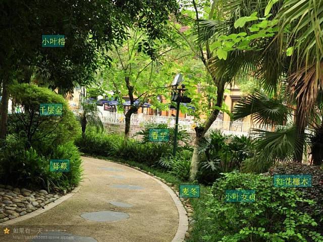 植物配置实景赏析&植物备注名称参考