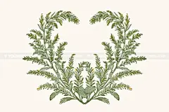 4套潮流复古花卉蔬菜植物线描手绘插画插图ai设计素材源文件合集下载_颜格视觉