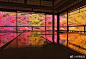 京都琉璃光院 ​​​​