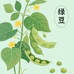 老北京绿豆冰沙包装设计 - 2025-06-04T094743