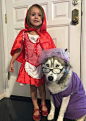 自从听了小红帽的故事，这小姑娘就很想扮演小红帽，那么狼外婆呢，她找到了个好帮手！