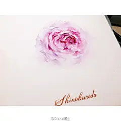 。蓝色风暴的英文原名Shinoburedo。。译做暗恋的心  大概暗恋的情绪总归还是忧郁的Blue。。。
。Diana。。。和自己英文名字一样的花 没能好好画出她的美貌

#水彩# @水彩大触 @水彩初学教程 @手绘插画教程@手绘插画