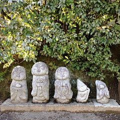 lin有鹿采集到佛