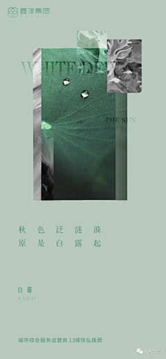 那一驴阳光采集到节日节气