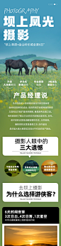 【全景坝上 • 风光摄影】6-8月 2023全新升级 看坝上草原晨昏蒙影，赏群马奔腾恢弘气势，景区三晚连住+草原人像+星空摄影+马踏水花+金山岭长城 6日采风活动 : <经典场景>多场次群马奔腾、将军泡子马踏水花、草原精灵梅花鹿、全景坝上风光、专业摄影指导。