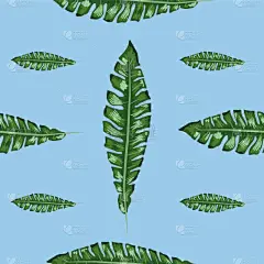 自然,抽象,动物手,四方连续纹样,复叶,简单,干酪藤,壁纸,绘制,剪影