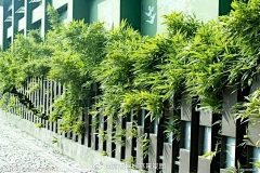 秦娜秦娜采集到围栏