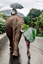 Steve McCurry 动物与人像摄影欣赏