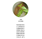一场春雨一首诗