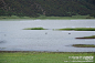 三江并流 云南行之香格里拉第三天，普达措国家公园, 皇旗鱼旅游攻略