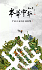 《本草中华》第二季火热开播！走心纪录片彰显中医药文化自信 : 《本草中华》第二季火热开播！走心纪录片彰显中医药文化自信,