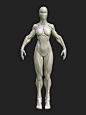bli : 3d character artist ,3D instructor,MAXON BodyPaint 3D Artist