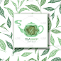 矢量插图与绿色手绘茶叶图案和茶壶标志孤立在白色的背景。天然有机设计印刷，宣传册，卡片，壁纸，包装