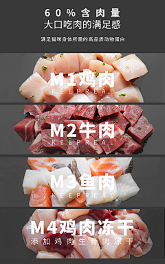 总会有温柔扑空采集到宠物用品详情页