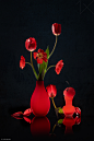 Red Tulip, Poppy and Tomato by Lydia Jacobs : Browse 200,000 curated photos from photographers all over the world