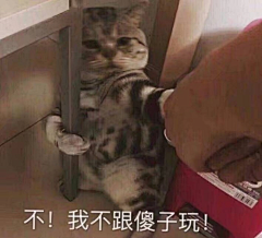 Terri-7采集到猫咪表情包呀