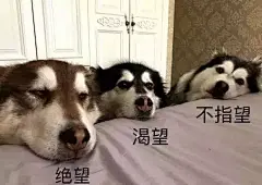 微信 QQ 搞笑 表情包 哈哈 (2390)