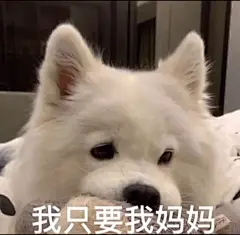 妈咪贴心小棉袄专用表情包表情包无水印​​​