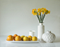 Jonquils and Citrus by Jacqueline http://huaban.com/pins/793542219/#Hammer : 1x.com is the world's biggest curated photo gallery online. Each photo is selected by professional curators. Jonquils and Citrus by Jacqueline Hammer