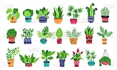 Vector HousePlants Set