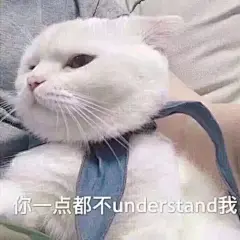 超级可爱的猫猫表情包