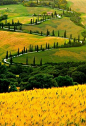 Zig Zag Road, Tuscany, Italy