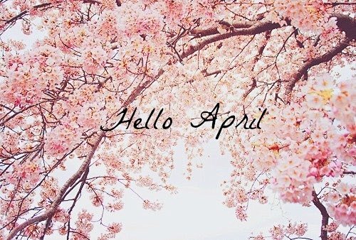 Hello，April 你好，春天。