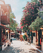 土耳其街道，满是花香和鸟语。 ​​​​