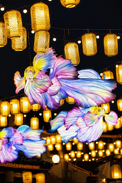 用户0IaaK6Jt采集到新年习俗