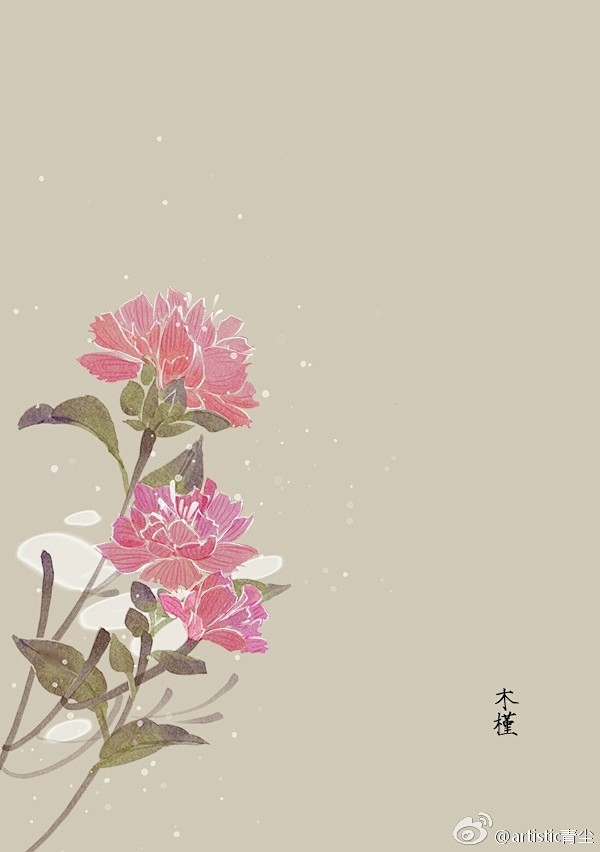 #365天生日花#  2月22日 木槿 ...