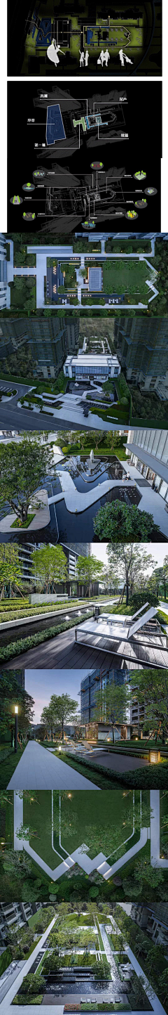 木桃clytie采集到示范区