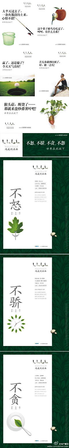 ediemonkey采集到地产