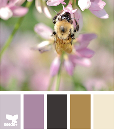 pollinating hues