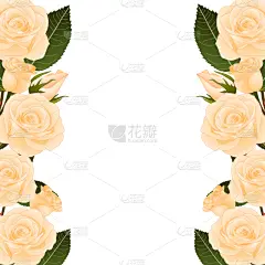 国境线,玫瑰,橙子,华丽的,浪漫,壁纸,植物群,婚礼,二月,自然美